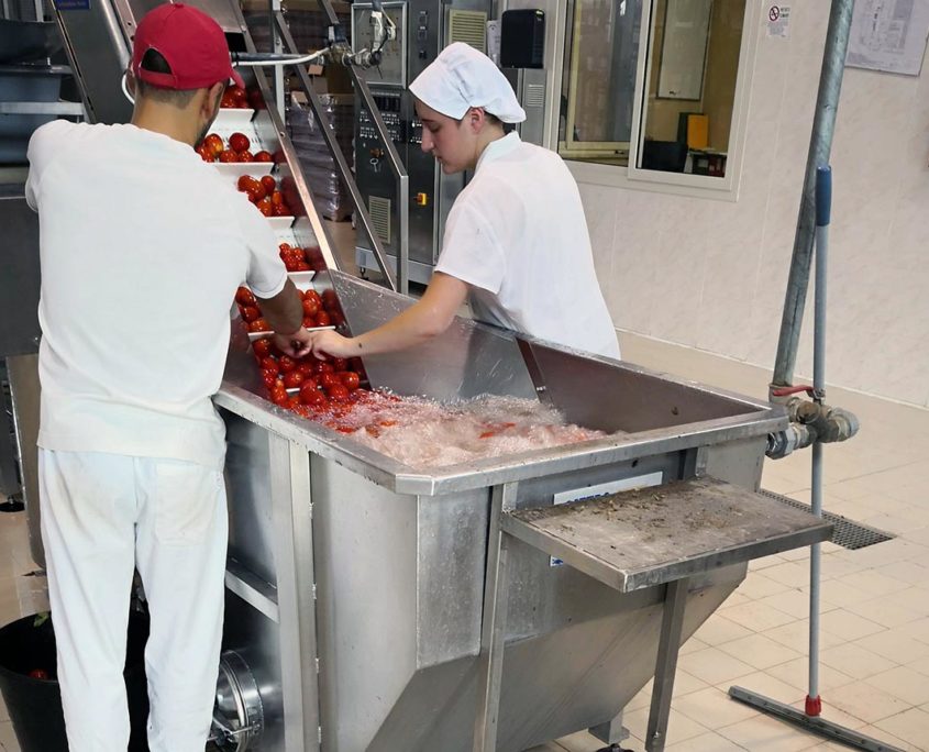 Processo di lavorazione della passata di pomodoro