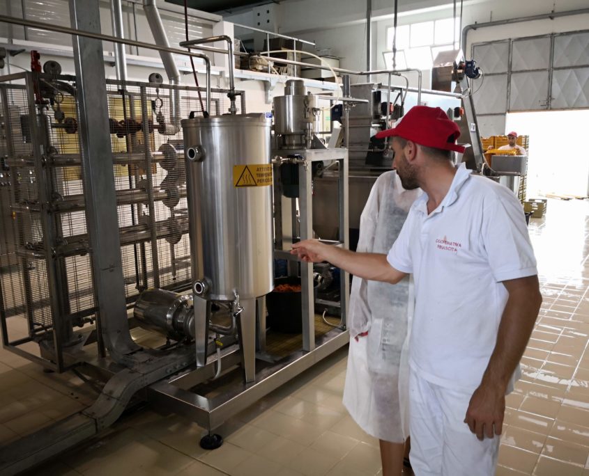 Processo di lavorazione della passata di pomodoro